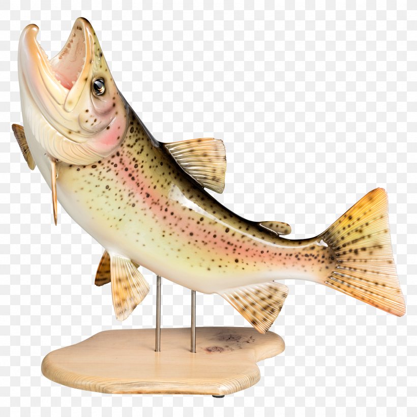 Figurine Trout Fish, PNG, 1771x1771px, Figurine, Fish, Trout Download Free