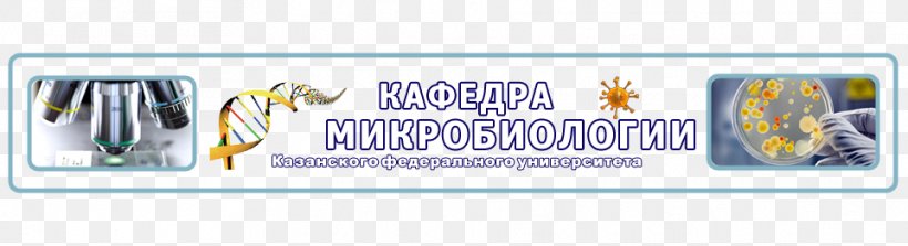 Kazan Federal University Микробиология: Учебник Microbiology Academic Department, PNG, 962x262px, Kazan Federal University, Academic Department, Advertising, Banner, Biology Download Free