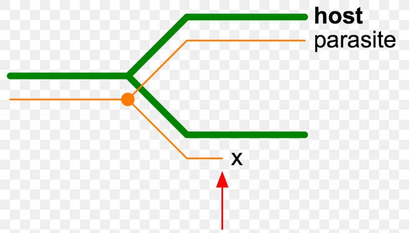Line Angle Point, PNG, 1025x584px, Point, Area, Diagram, Green, Parallel Download Free