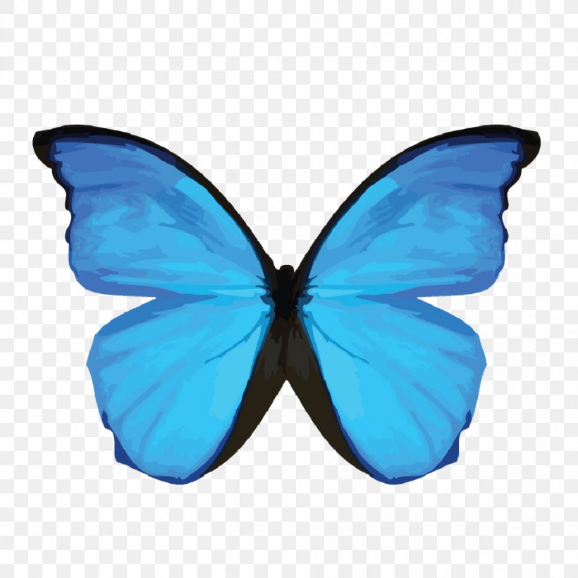 Menelaus Blue Morpho Morpho Didius Insect Common Blue Morpho Butterflies, PNG, 942x942px, Menelaus Blue Morpho, Azure, Blue, Brush Footed Butterfly, Butterflies Download Free