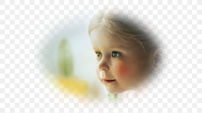 Nose Cheek Eyebrow Lips, PNG, 600x461px, Nose, Baby, Cheek, Child, Ear Download Free