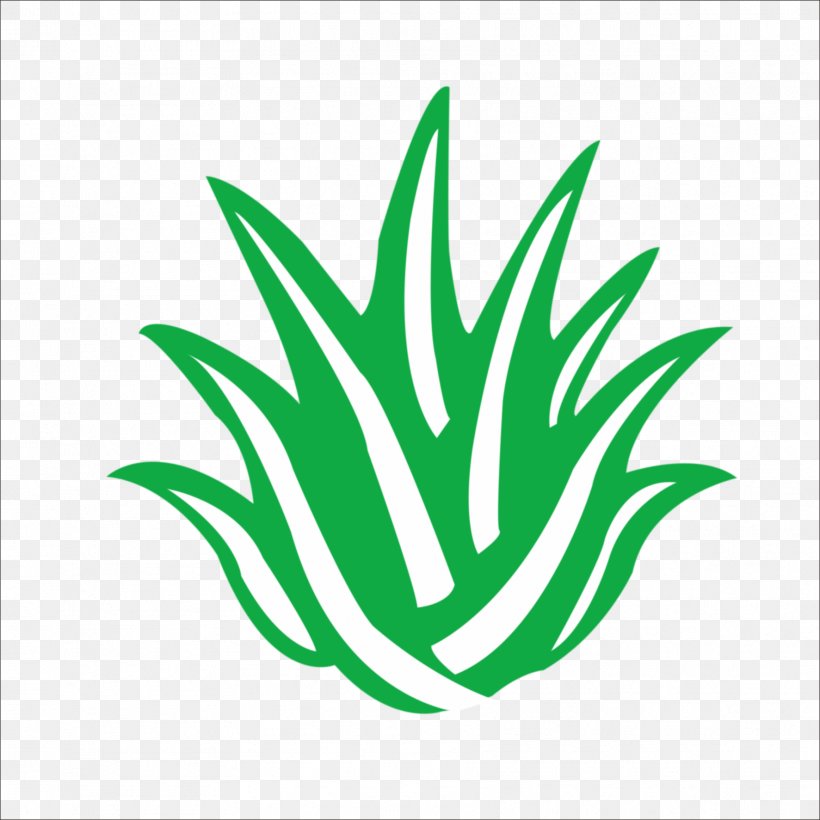 Aloe Vera Logo Icon, PNG, 1773x1773px, Aloe Vera, Aloe, De Aloxeb, Flower, Flowering Plant Download Free