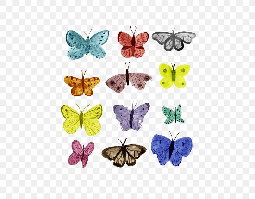 Butterfly Drawing Transparency And Translucency, PNG, 640x640px, Butterfly, Architecture, Art, Brush Footed Butterfly, Creativity Download Free