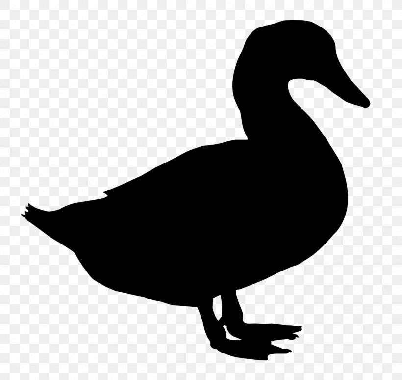 Duck Vector Graphics Royalty-free Clip Art Stock Photography, PNG, 1270x1200px, Duck, American Black Duck, Beak, Bird, Ducks Geese And Swans Download Free