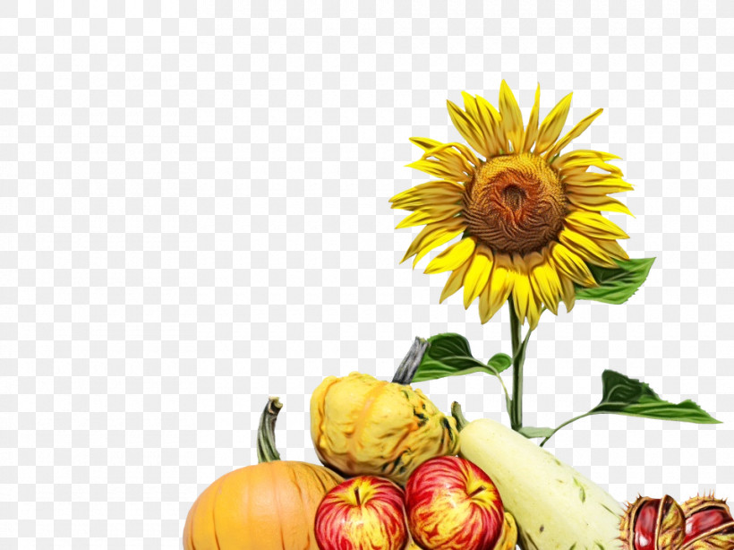Flower Sunflowers Sunflower Seeds Cut Flowers Plant Stem, PNG, 960x719px, Watercolor, Cut Flowers, Dandelion, Floristry, Flower Download Free