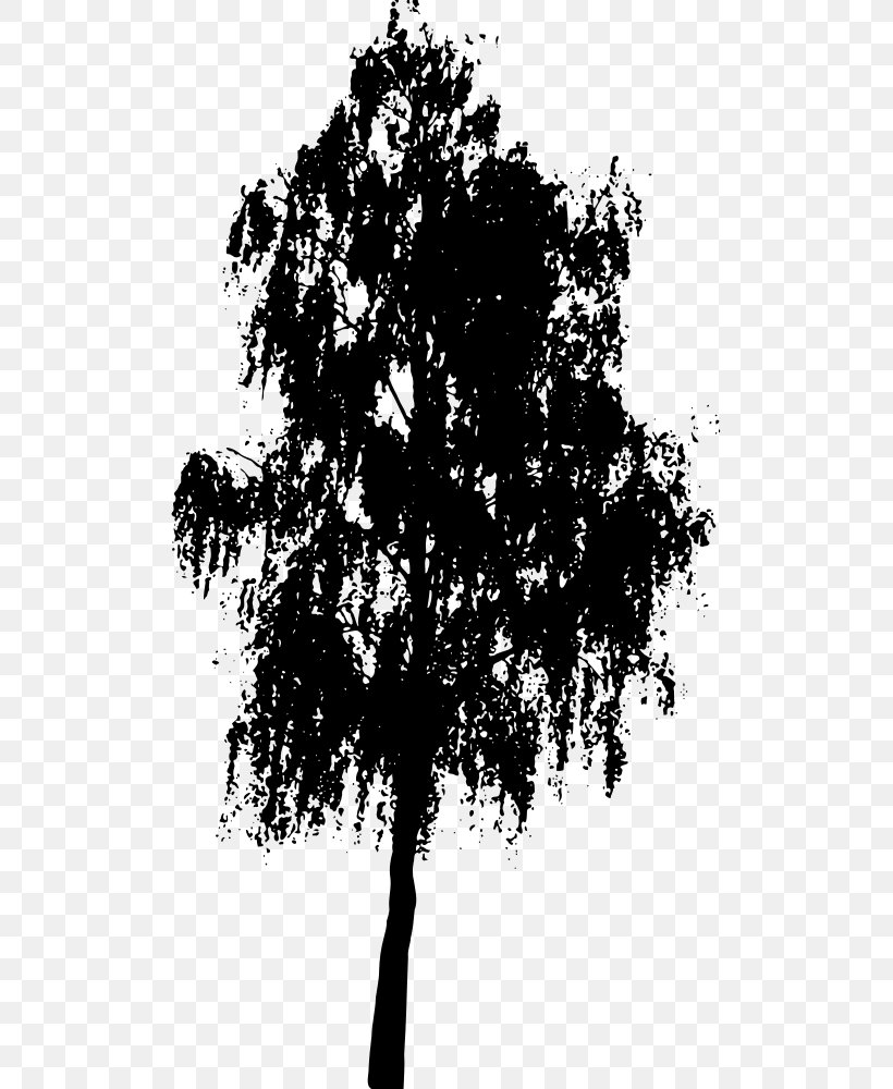 Tree Southern Live Oak Silhouette Clip Art, PNG, 709x1000px, Tree, Art, Black And White, Branch, Drawing Download Free