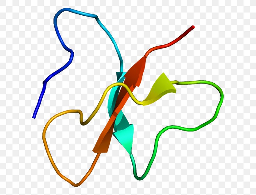 Beta Defensin Beta-defensin 2 Beta-defensin 3 Beta Hairpin, PNG, 664x623px, Defensin, Alpha Helix, Amino Acid, Antimicrobial Peptides, Area Download Free