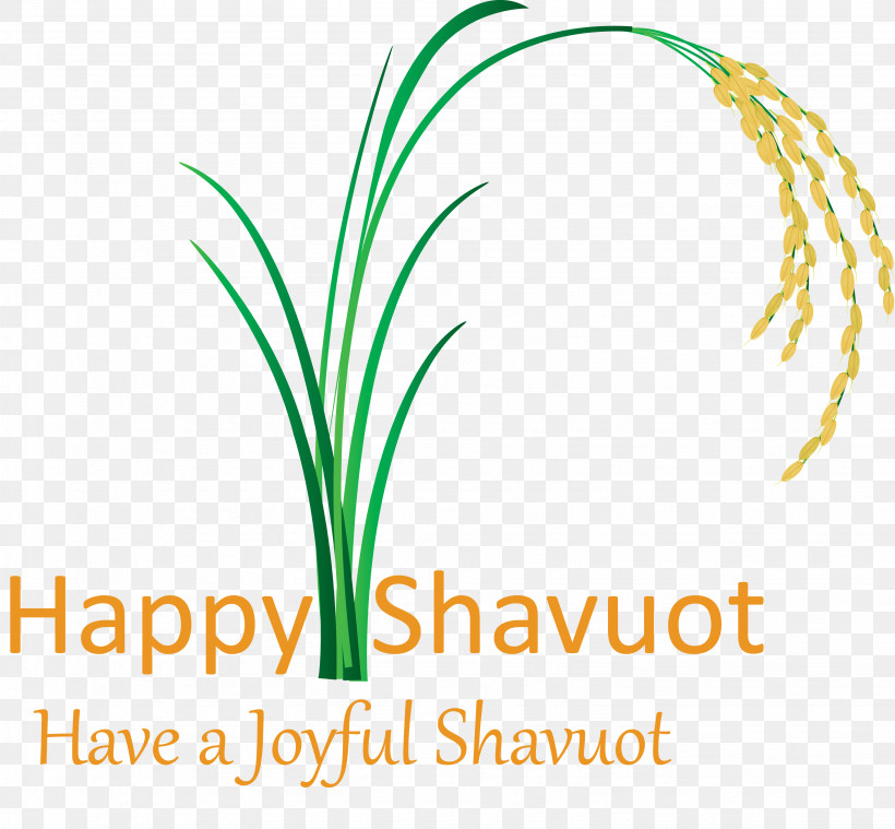 Happy Shavuot Shavuot Shovuos, PNG, 3081x2853px, Happy Shavuot, Grass, Grass Family, Leaf, Line Download Free