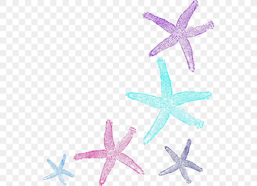 Starfish Royalty-free Clip Art, PNG, 546x595px, Starfish, Blue, Blue Sea Star, Echinoderm, Invertebrate Download Free