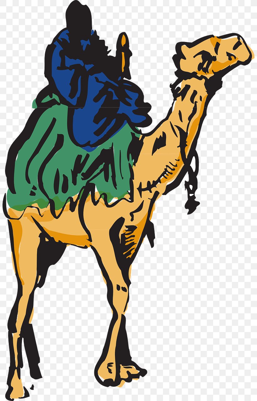 Cama Clip Art, PNG, 804x1280px, Cama, Art, Bedouin, Camel, Camel Like Mammal Download Free