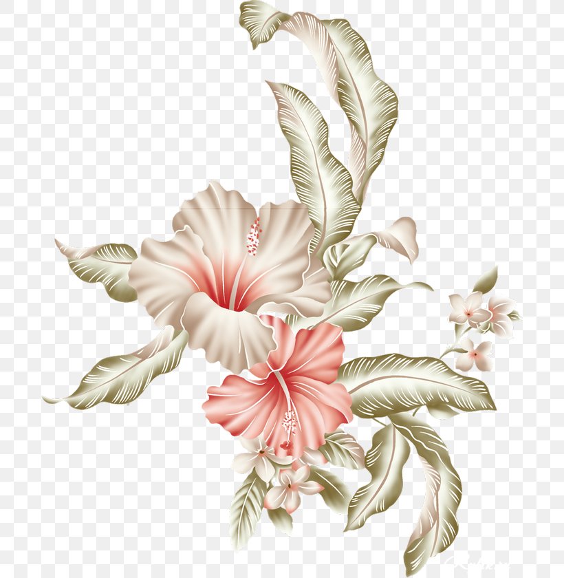 Flower Image Rosemallows Illustration Paper, PNG, 700x840px, Flower, Anthurium, Blume, Botany, Cut Flowers Download Free
