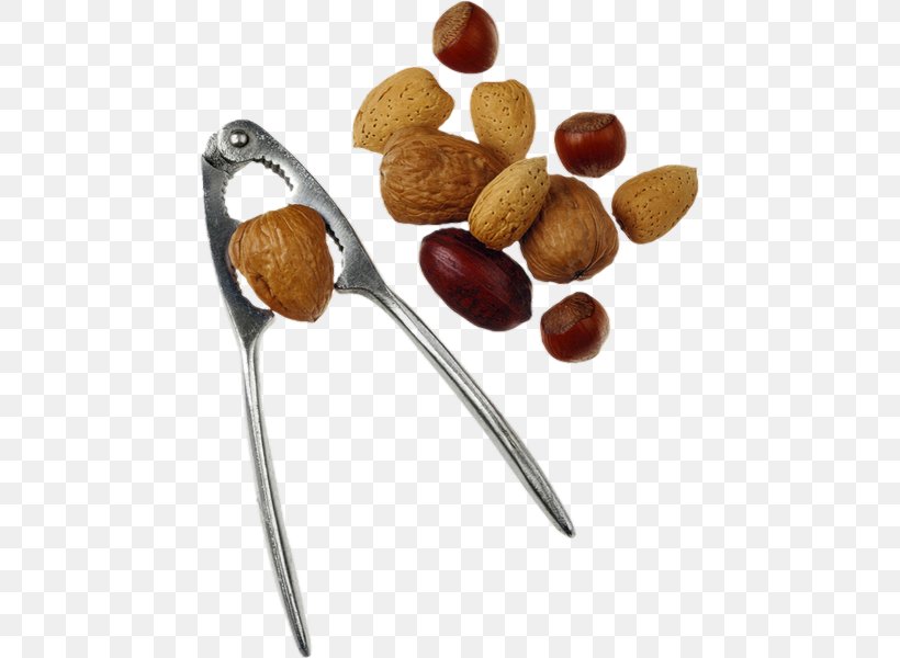 Nuts Auglis Walnut, PNG, 455x600px, Nut, Acorn, Auglis, Dried Fruit, Fat Download Free