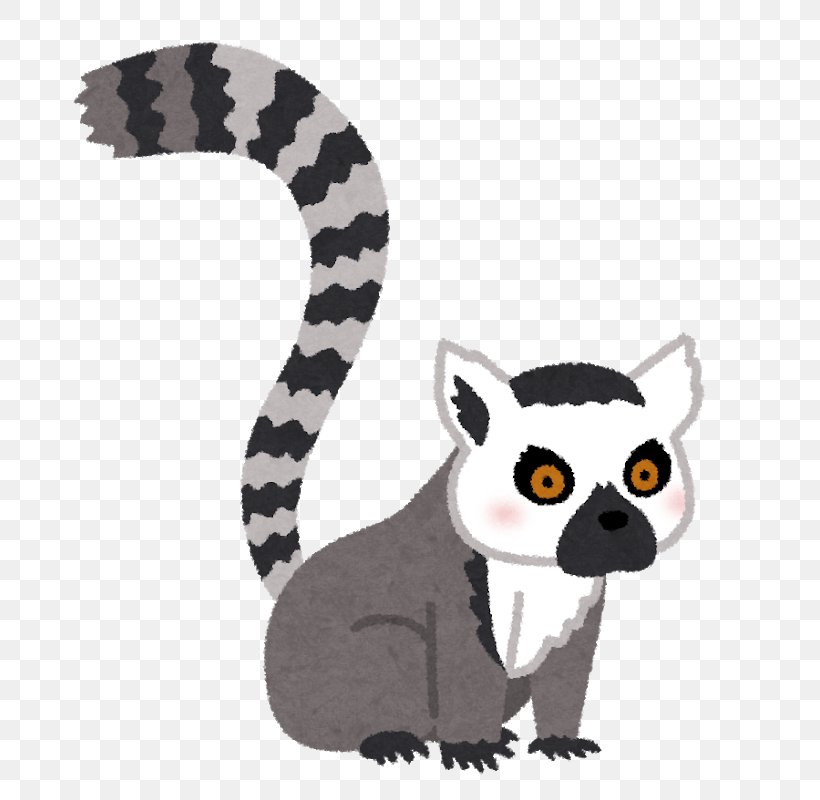 Ring-tailed Lemur T-shirt Itōzunomori Kōen Lemuridae Adidas, PNG, 699x800px, Ringtailed Lemur, Adidas, Carnivoran, Cat, Cat Like Mammal Download Free
