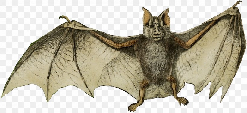 Bat Vampire Bat Little Brown Myotis Big Brown Bat Common Pipistrelle, PNG, 1800x828px, Watercolor, Bat, Big Brown Bat, Common Pipistrelle, Little Brown Myotis Download Free