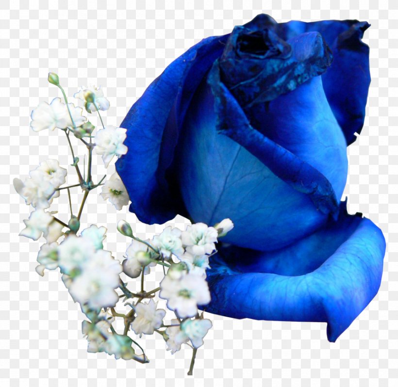 Blue Rose Flower Floral Design, PNG, 893x870px, Blue Rose, Bell Sleeve, Blue, Blue Flower, Cobalt Blue Download Free