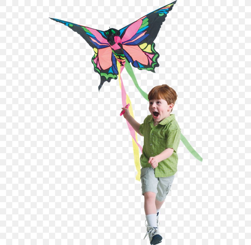 Child Boy PhotoScape Clip Art, PNG, 504x800px, Child, Apartment, Boy, Butterflies And Moths, Gimp Download Free