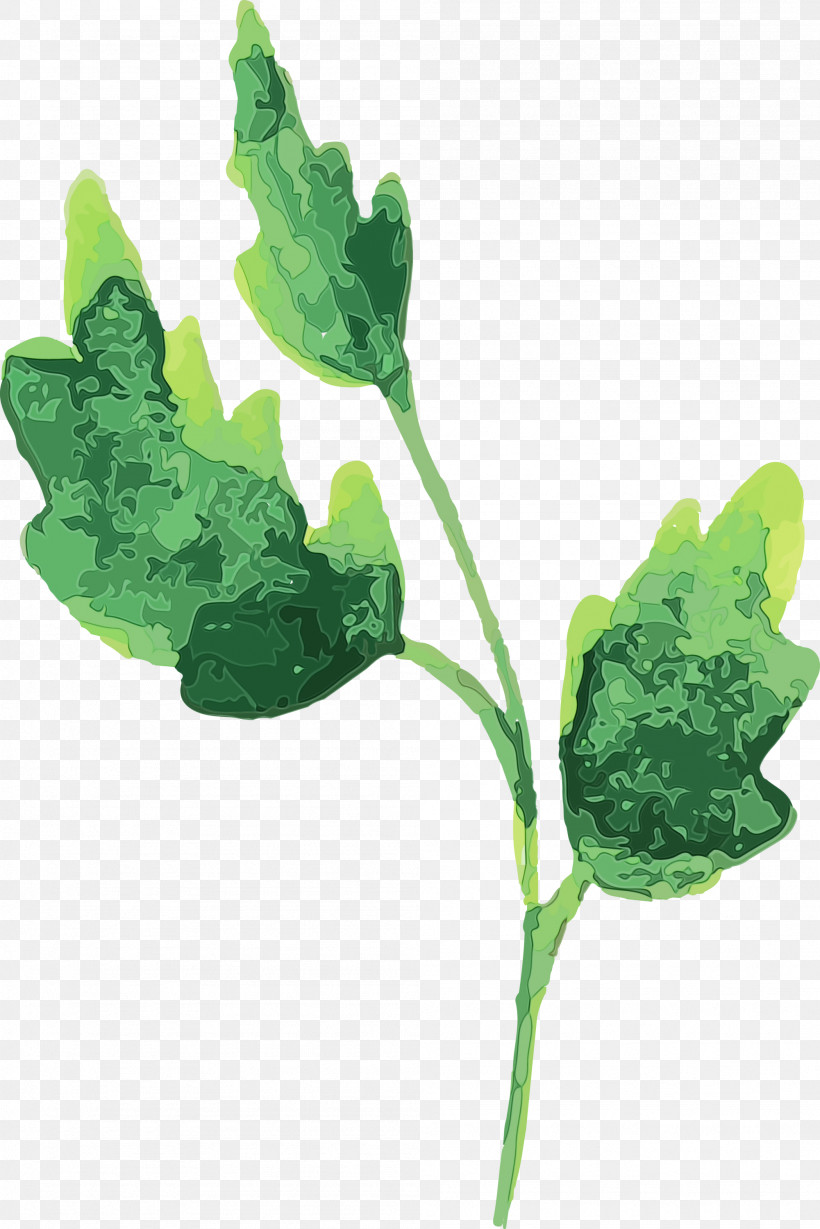 Leaf Plant Stem Leaf Vegetable Plant Pathology Herb, PNG, 2001x3000px, Watercolor Autumn, Biology, Herb, Leaf, Leaf Vegetable Download Free