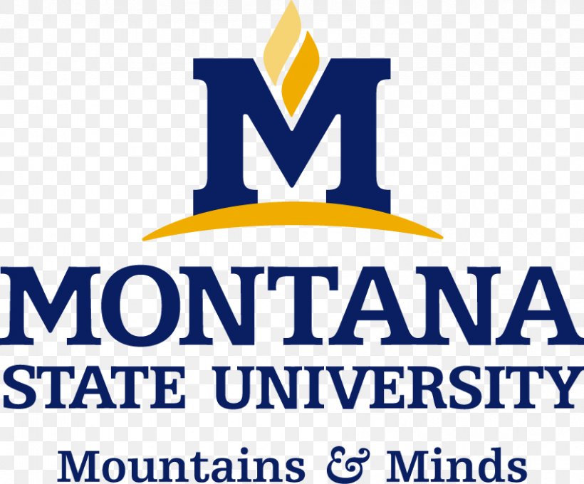 Montana State University Billings University Of Montana Western, PNG, 847x703px, Montana State University, Area, Bozeman, Brand, College Download Free