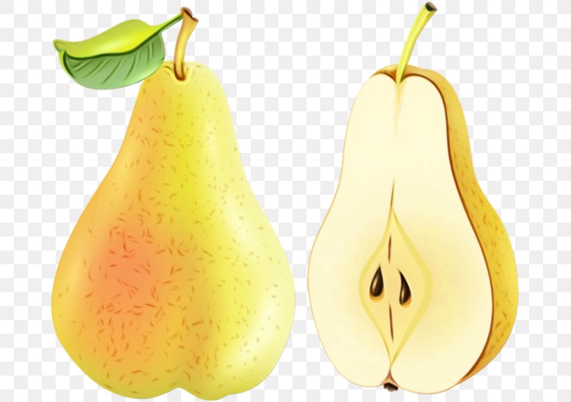 Pear Pear Tree Plant Fruit, PNG, 675x578px, Watercolor, Accessory Fruit, Food, Fruit, Nepenthes Download Free