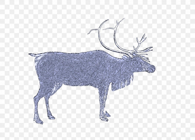 Reindeer, PNG, 2280x1648px, Reindeer, Antler, Deer, Drawing, Elk Download Free