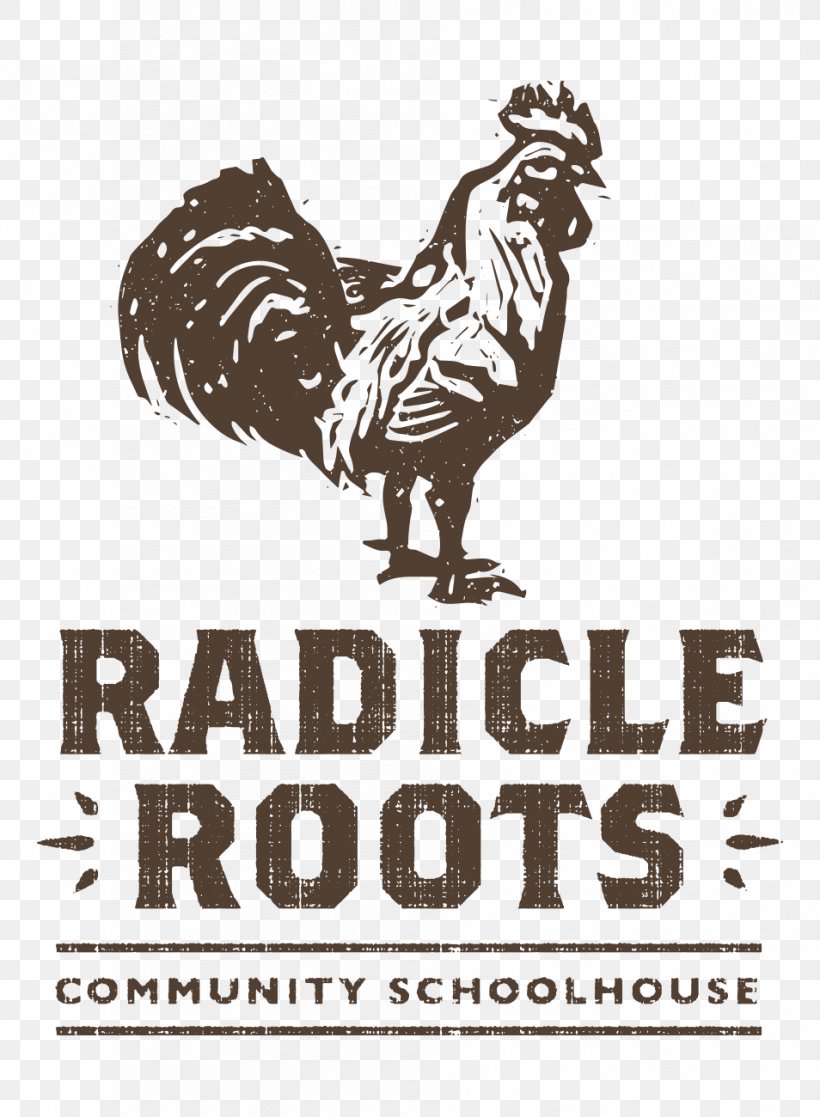 Rooster Radicle Roots Community Schoolhouse Experiential Learning Logo Curriculum, PNG, 954x1300px, Rooster, Beak, Bird, Brand, Chicken Download Free