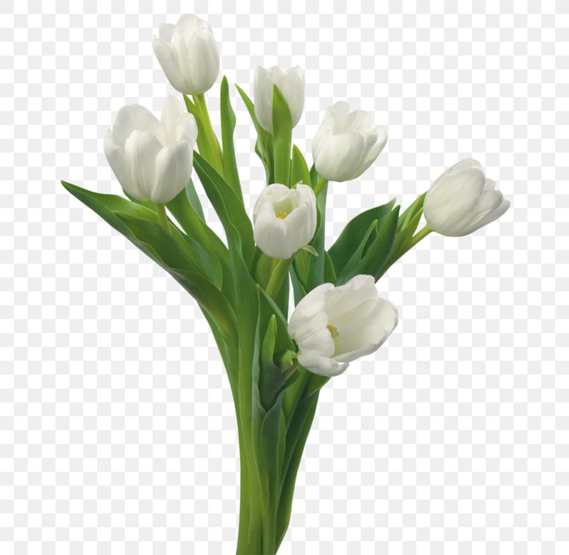Tulip Flower Bouquet Floral Design Cut Flowers, PNG, 686x800px, Tulip, Blue Rose, Cut Flowers, Floral Design, Floristry Download Free