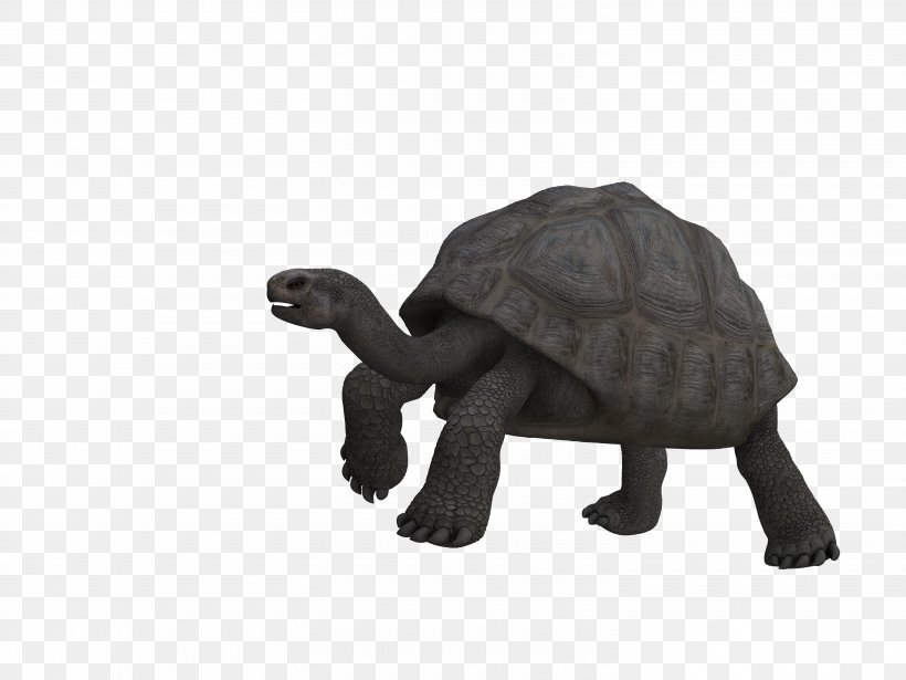 Turtle Tortoise Reptile Art Animal, PNG, 6000x4500px, Turtle, Animal, Animal Figure, Animal Rescue Group, Art Download Free