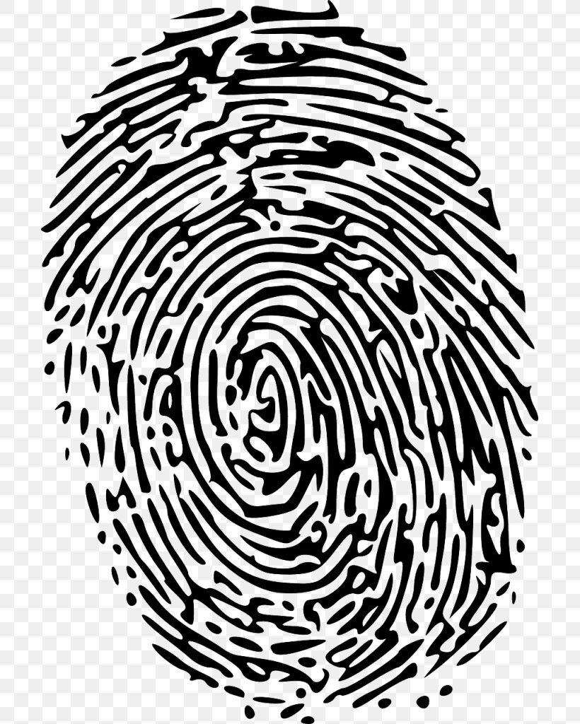 Device Fingerprint Clip Art, PNG, 703x1024px, Fingerprint, Area, Biometrics, Black And White, Device Fingerprint Download Free