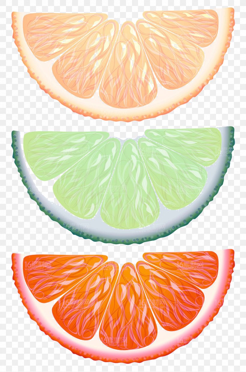 Lemon Key Lime Orange Fruit, PNG, 999x1513px, Lemon, Auglis, Cake, Citric Acid, Citrus Download Free