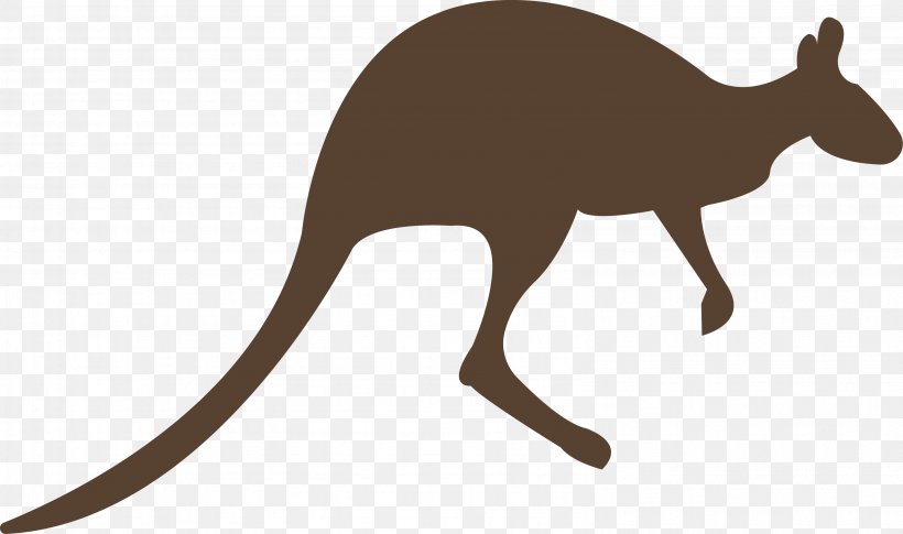 Macropodidae Kangaroo Animal Clip Art, PNG, 3169x1875px, Macropodidae, Animal, Fauna, Kangaroo, Mammal Download Free