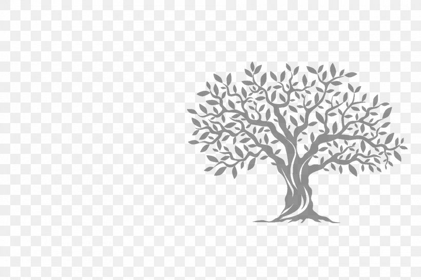 Olive Tree, PNG, 1920x1280px, Olive, Black And White, Branch, Drawing, Flower Download Free