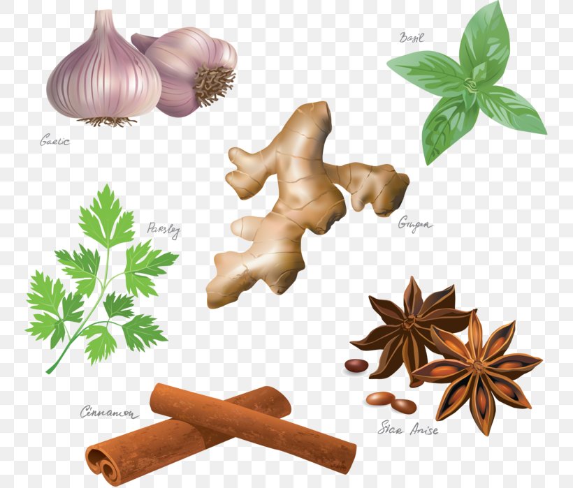 Star Drawing, PNG, 750x699px, Spice, Anise, Cinnamon, Cinnamon Stick, Cooking Download Free