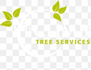 Leaf - Logo Brand Leaf PNG