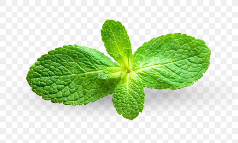 Peppermint Mentha Spicata Apple Mint Royalty-free Photography, PNG, 800x492px, Peppermint, Apple Mint, Depositphotos, Food, Herb Download Free