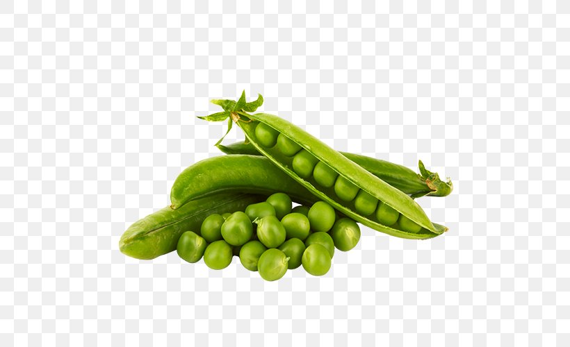 Snap Pea Food Vegetable Snow Pea, PNG, 500x500px, Snap Pea, Bean, Commodity, Food, Fruit Download Free