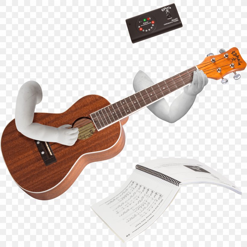 Bass Guitar Ukulele Acoustic Guitar Acoustic-electric Guitar Cavaquinho, PNG, 3109x3109px, Watercolor, Cartoon, Flower, Frame, Heart Download Free