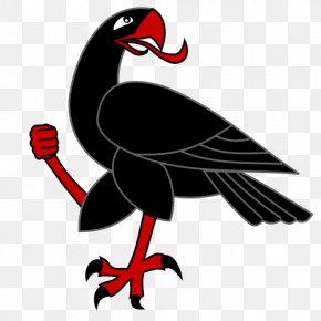 Bird - Beak Water Bird Galliformes Clip Art PNG