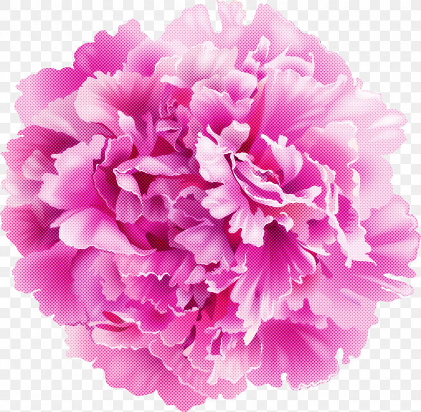 Floral Design, PNG, 3000x2941px, Perfume, Aroma, Cut Flowers, Floral Design, Mug Download Free