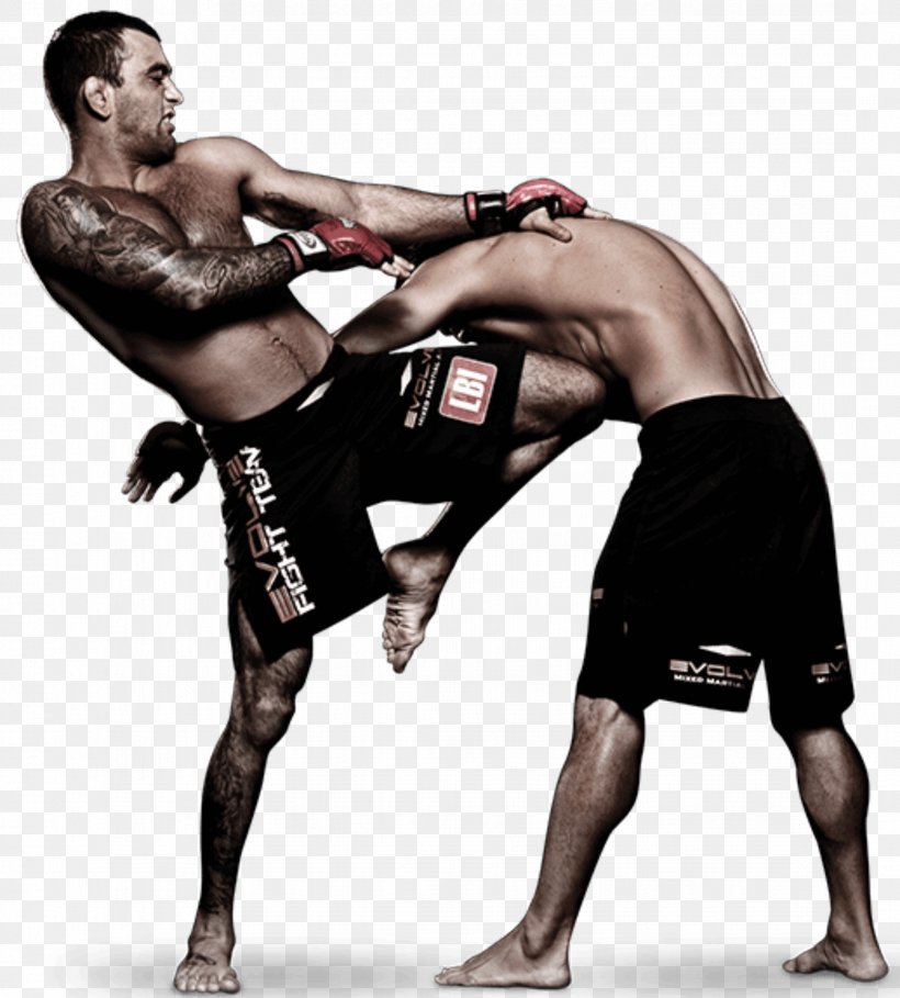 Kickboxing Mixed Martial Arts Muay Thai, PNG, 2159x2395px, Kickboxing, Aggression, Arm, Boxing, Boxing Glove Download Free