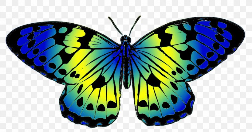 Monarch Butterfly Clip Art Blue Image, PNG, 893x469px, Butterfly, Arthropod, Blue, Brush Footed Butterfly, Brushfooted Butterflies Download Free