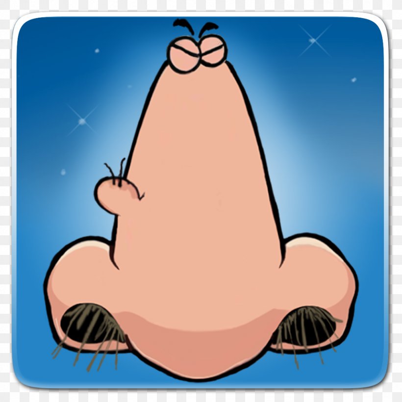 Nose Rhinoplasty Surgeon Vertebrate Head, PNG, 1024x1024px, Nose, Animal, Blog, Cartoon, Finger Download Free