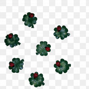 Amulet - Good Luck Charm Four-leaf Clover Amulet Birthday PNG