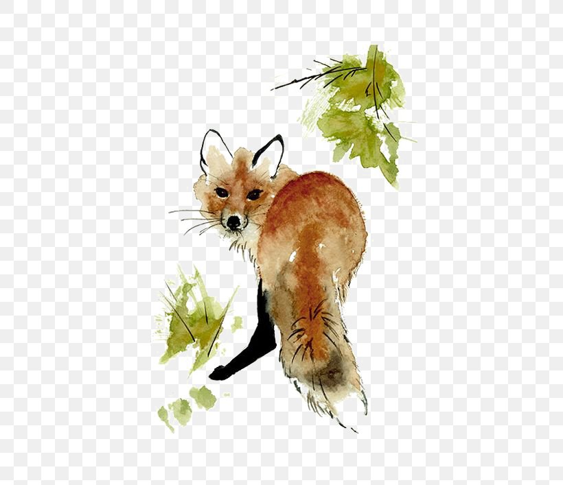 Red Fox Watercolor Painting Drawing Art, PNG, 564x707px, Red Fox, Art, Artist, Canvas Print, Carnivoran Download Free