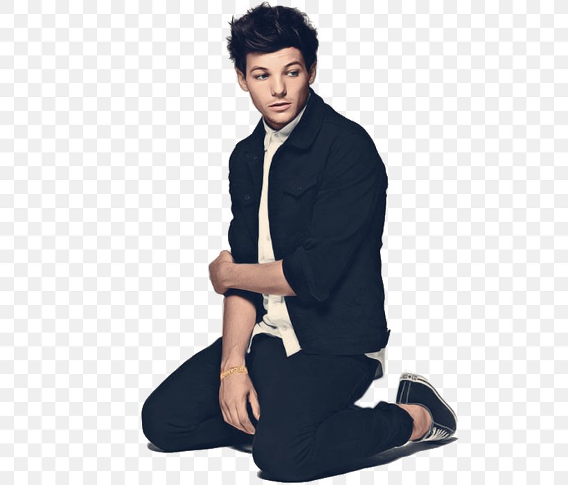 Louis Tomlinson One Direction Fat Friends, PNG, 700x700px, Watercolor, Cartoon, Flower, Frame, Heart Download Free