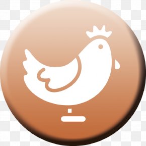 Duck - U.S. Poultry & Egg Association Guineafowl Duck Food PNG