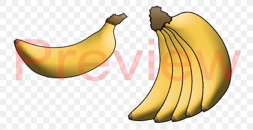 Banana Product Design Clip Art, PNG, 775x422px, Banana, Banana Family, Beak, Flowering Plant, Food Download Free