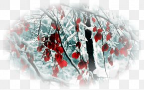 Snow - Desktop Wallpaper High-definition Television 1080p Snow Desktop Computers PNG