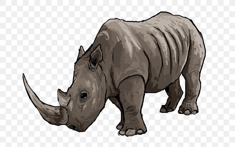 Rhinoceros Terrestrial Animal Wildlife Indian Elephant, PNG, 700x516px, Rhinoceros, Animal, Elephant, Fauna, Horn Download Free