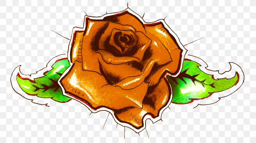 Rose Family Illustration Clip Art Flower, PNG, 1544x866px, Rose Family, Art, Flower, Flowering Plant, Plant Download Free
