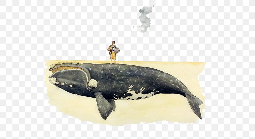 Vancouver Visual Arts Whale Drawing Illustration, PNG, 600x447px, Vancouver, Art, Artist, Comics, Dolphin Download Free